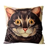 Sublimation Cushion Cover